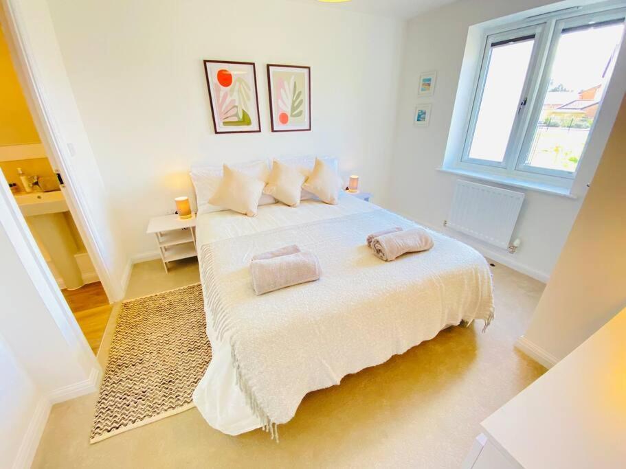 كيلتنهام Beautiful, Brand New Apartment! المظهر الخارجي الصورة